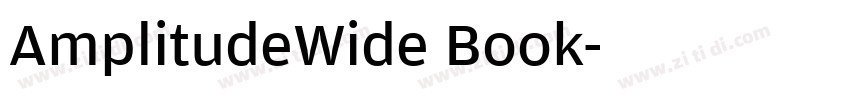AmplitudeWide Book字体转换